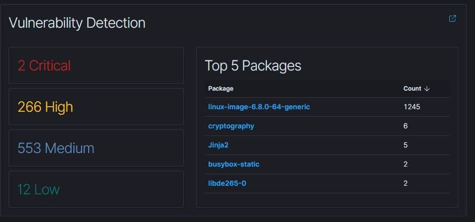 Vulnerability detection on the Ubuntu server — the kernel package alone accounted for the bulk of the findings.